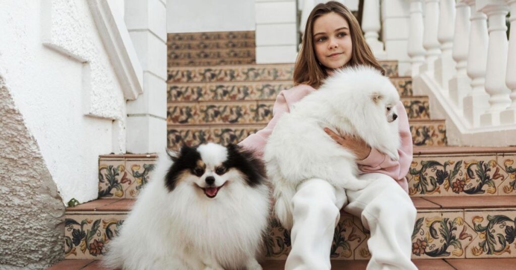 Beverly Hills Chihuahua Cast and Voice Actors Guide behind the scenes facts about beverly hills chihuahua cast