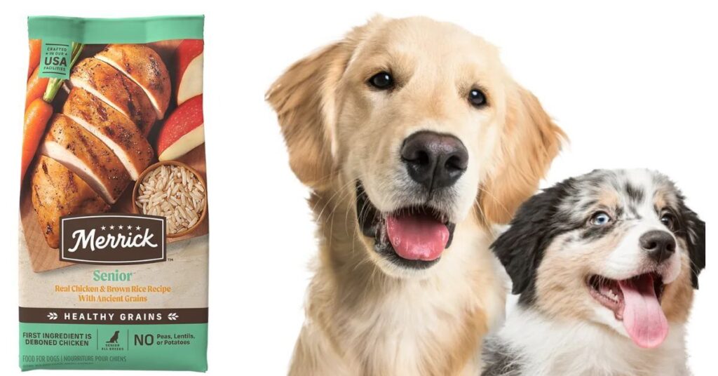 Merrick Dog Food|Complete Guide & Reviews Understanding Your Dog’s Age, Size, and Lifestyle