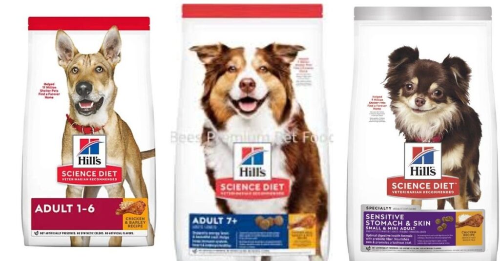 Movie Chihuahua Beverly Hills|Star Dogs, Movies & Fun Facts entertainment and media presence (2)