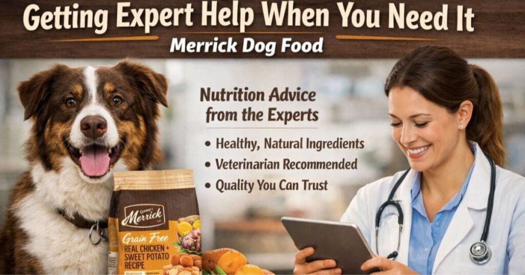 Merrick Dog Food|Complete Guide & Reviews getting expert help when you need