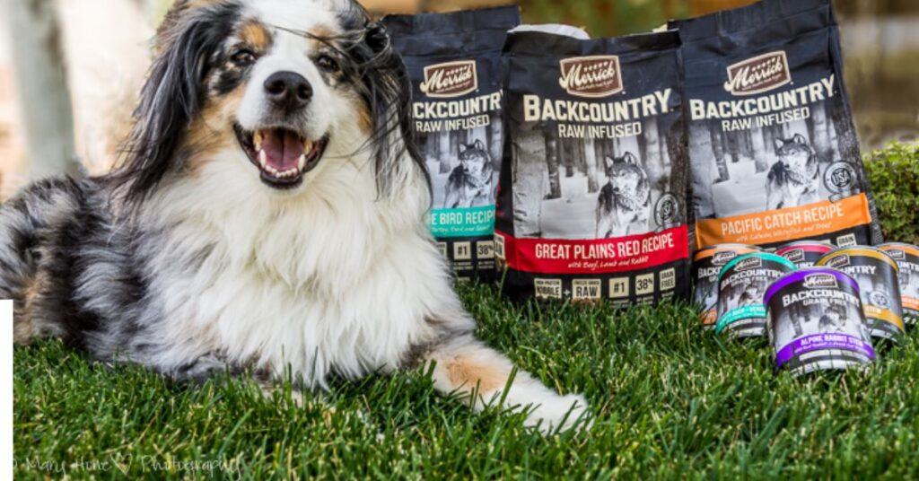 Merrick Dog Food|Complete Guide & Reviews Real Results from Real Dog Parents