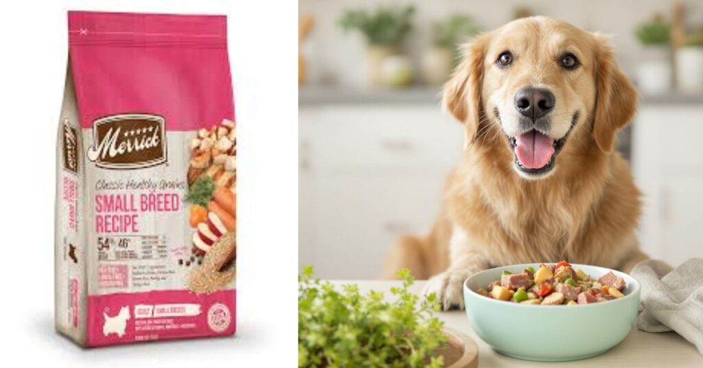 Merrick Dog Food|Complete Guide & Reviews Helping Your Dog Live a Healthier, Happier Life