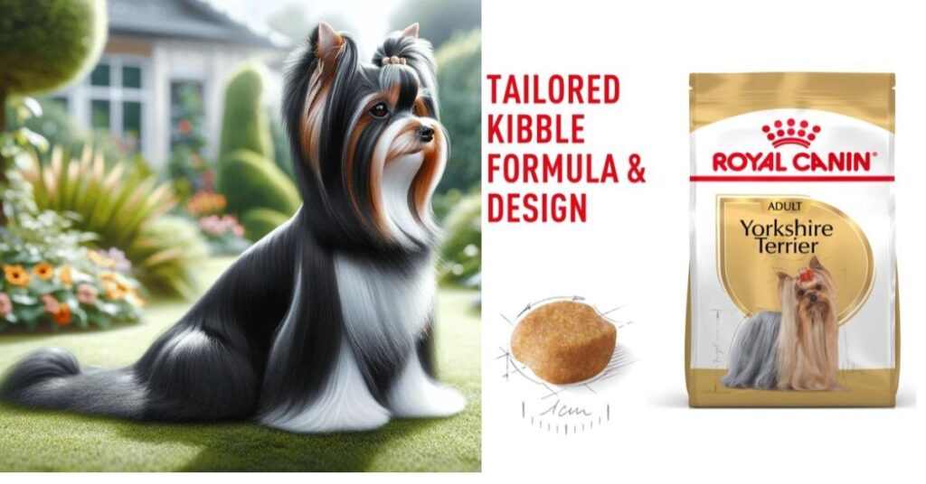 mini yorkie lifecare & nutrition strategies mini care framework