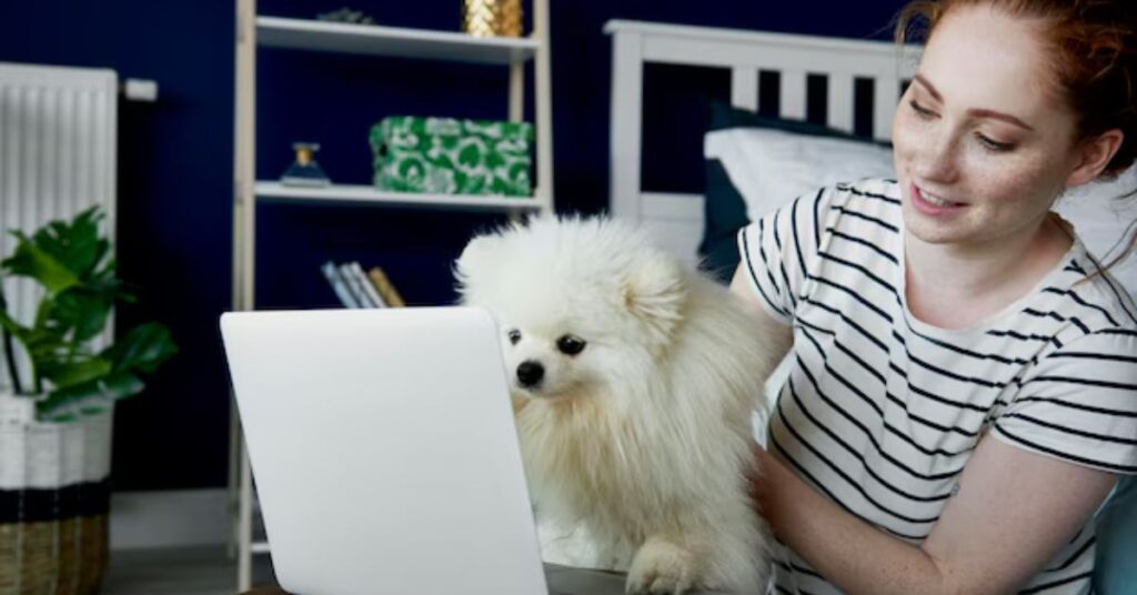 mini yorkie lifepredicting longevity (interactive tools)