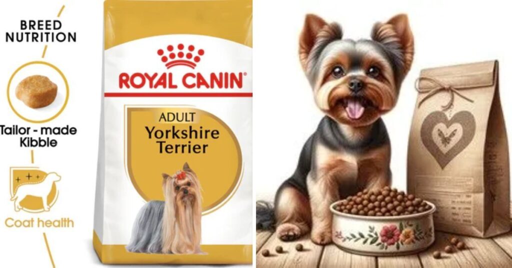 Parti Yorkie Complete Guide to Care, Personality & Facts Parti Yorkies