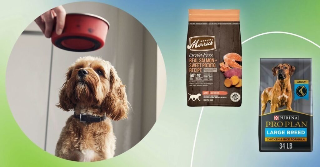 Merrick Dog Food|Complete Guide & Reviews Complete Kibble & Bite Options for Everyday Nutrition