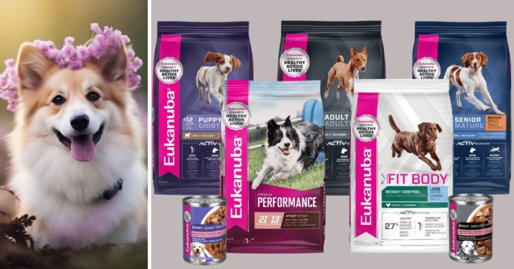 Is Eukanuba Dog Food Good for Your Pet? Full 2026 Expert Review a quick look at eukanuba dog food