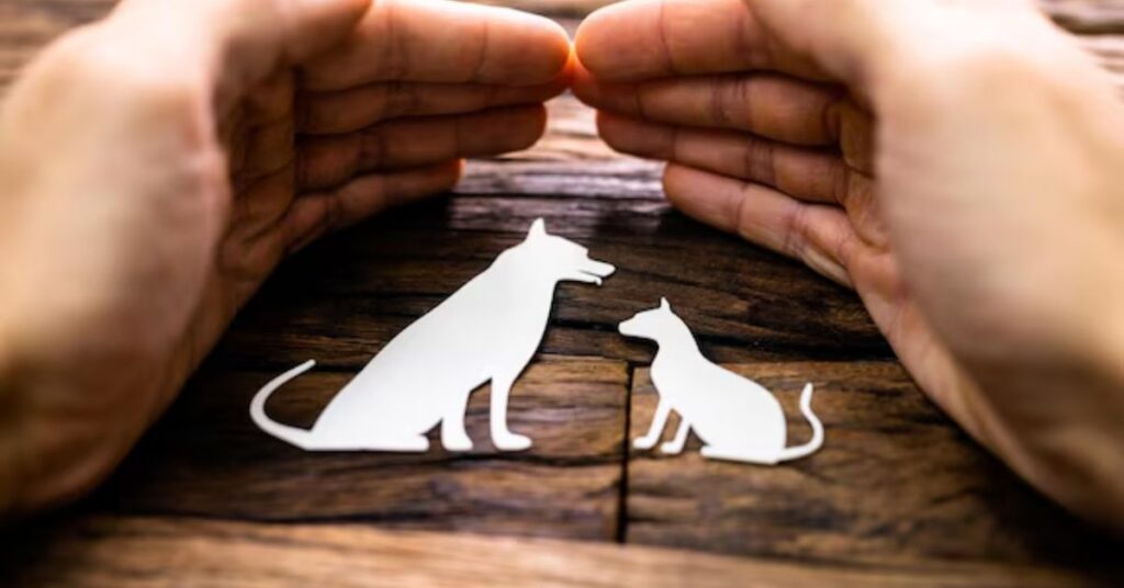 Katherine Heigl Dog Food|Complete Guide to Nutrition, Price & Quality animal advocacy behind the brand’s quality