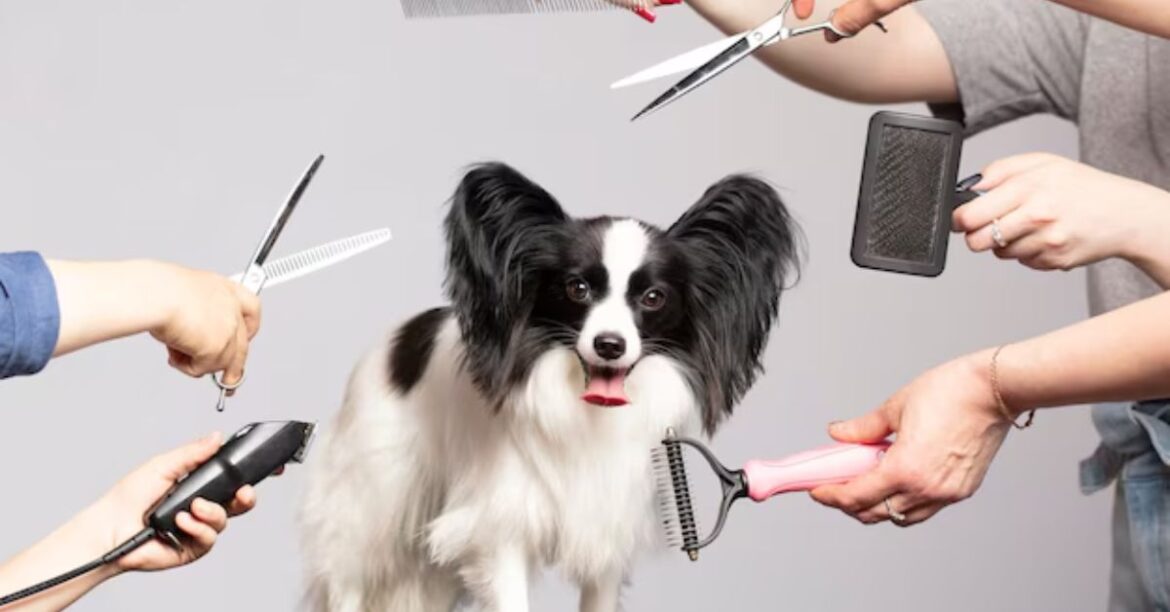best dog clippers 7 tested and trusted picks for 2026 (1)