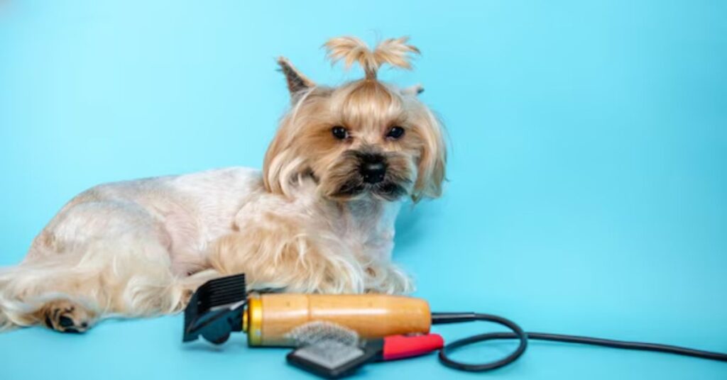 Best Dog Clippers for 2026|7 Tested and Trusted Picks tested and trusted picks for 2026