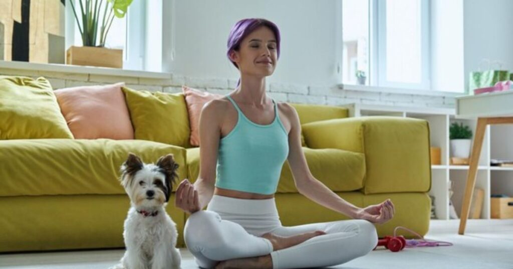 exercise needs of a yorkie poo and mental stimulation