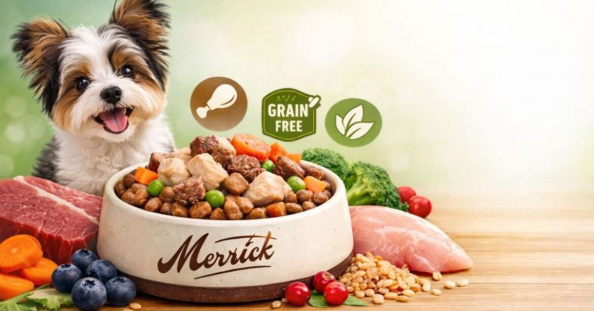 Merrick Dog Food: Complete Guide & Reviews