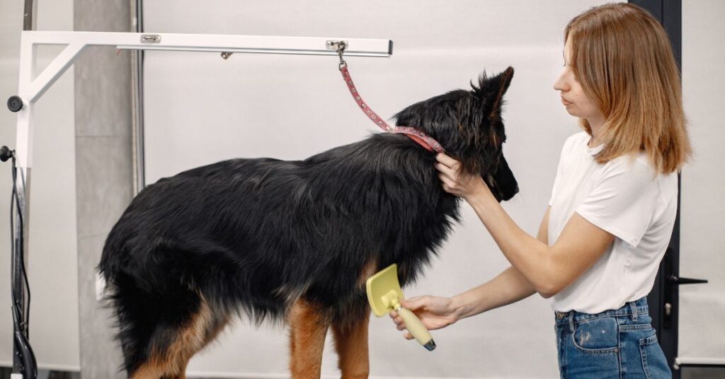 Best Dog Clippers for 2026|7 Tested and Trusted Picks our top choices for the best dog clippers