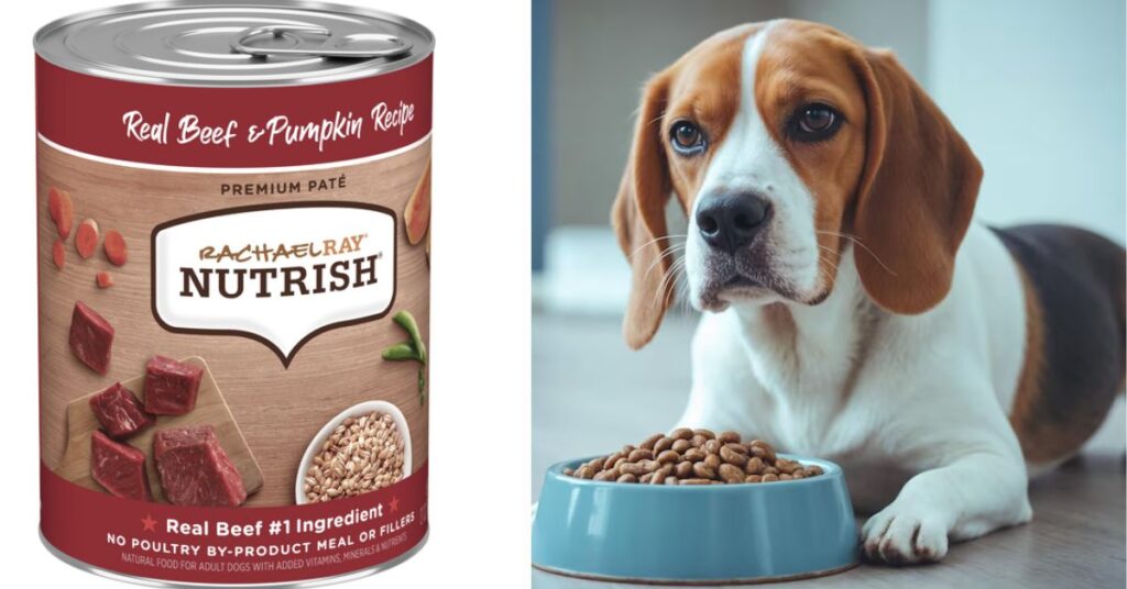 Rachael Ray Dog Food Ingredients Explained: What’s Really Inside rachael ray dog food review and full analysis
“Golden Retriever eating dry dog food from bowl