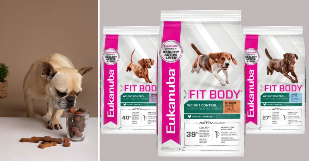 Is Eukanuba Dog Food Good for Your Pet? Full 2026 Expert Review reviews of the 3 best eukanuba dog food recipes