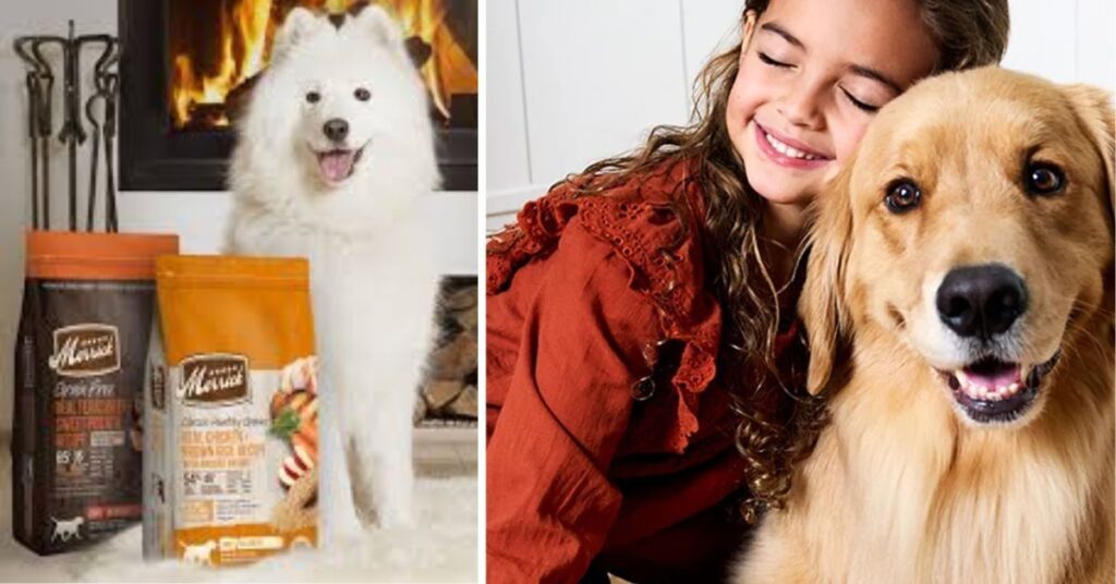 Supporting Dogs During Stressful Situations with Nutrition