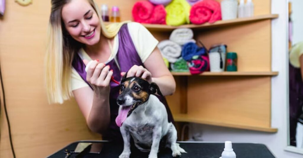 Best Toenail Clippers for Thick Nails, Seniors, and Professional Foot Care image