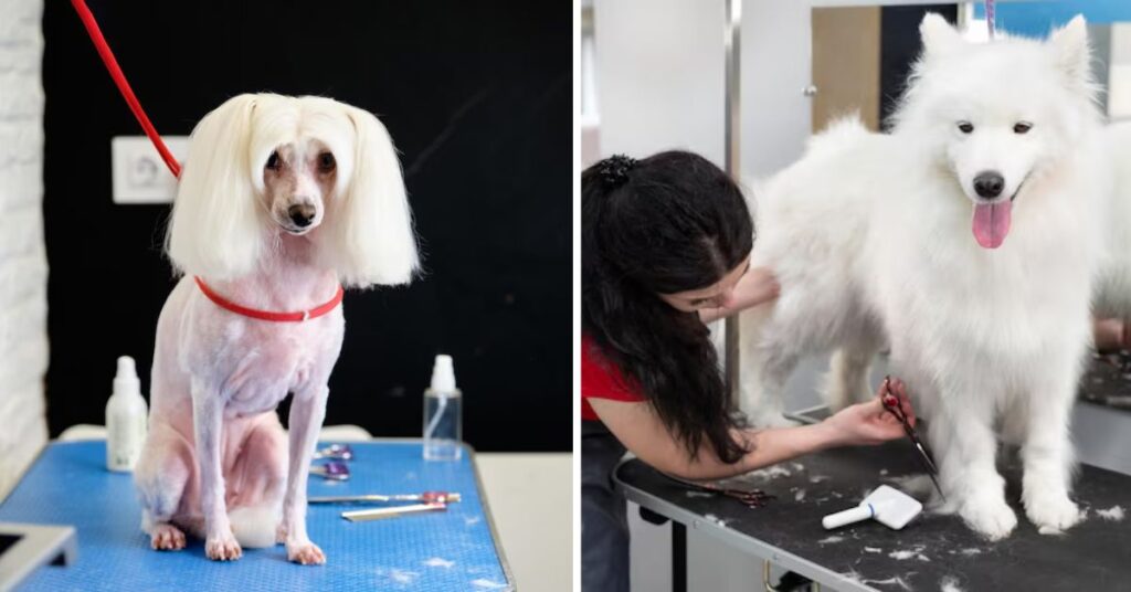 case study correcting tear staining in