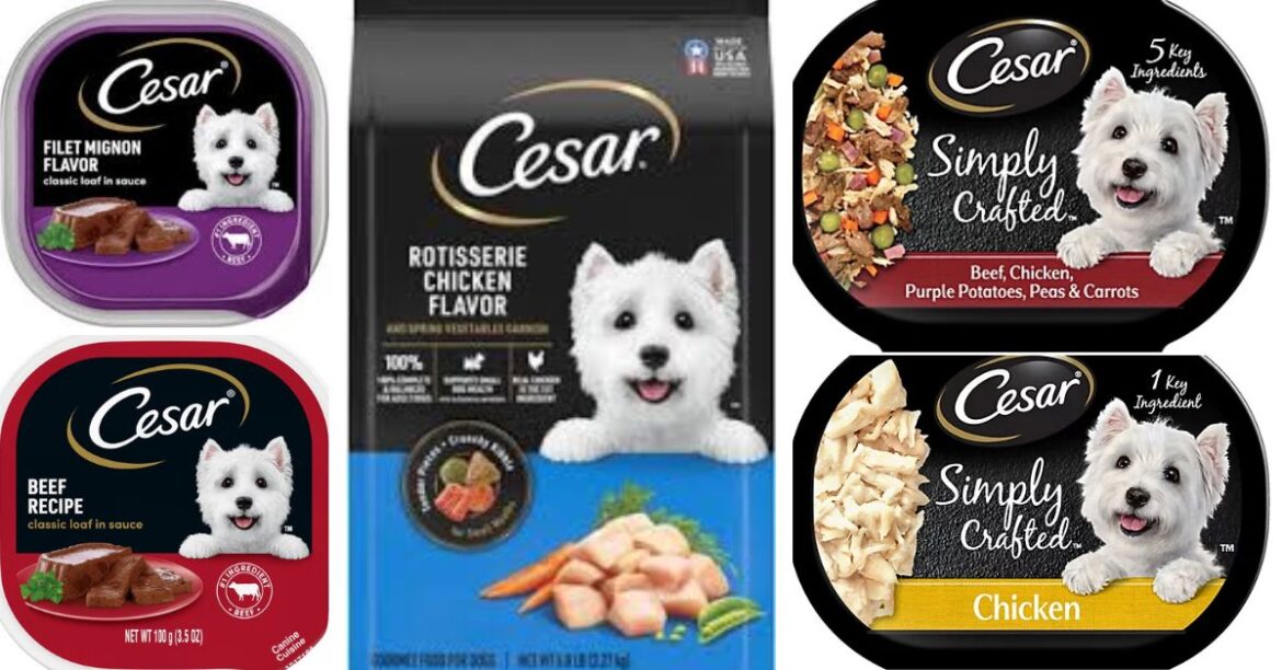 is cesar dog food good
