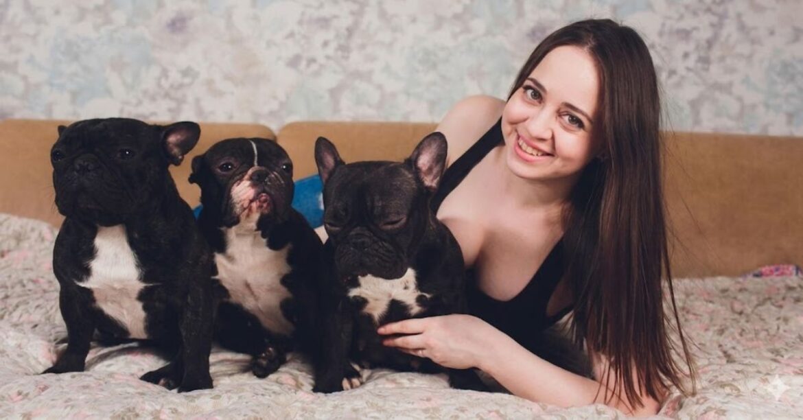 chihuahua mix with pitbull puppies guide & care tips (1)