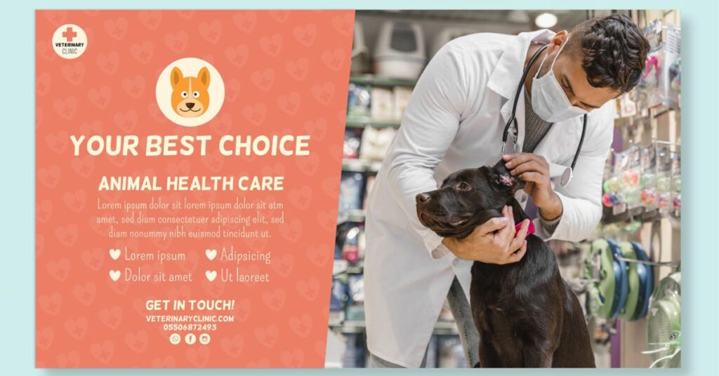 dr marty dog food price