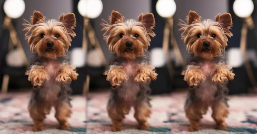 exercise and daily activity needs