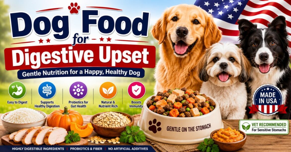 dog food for digestive upset best foods for a healthy stomach (1)