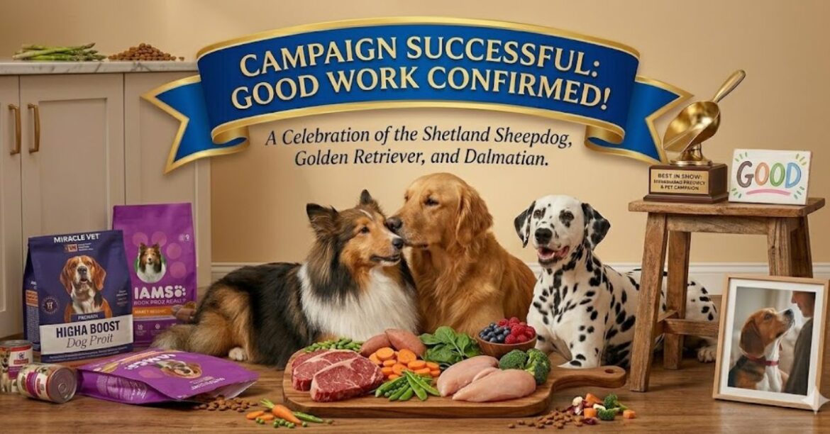 high protein dog food benefits, risks, and best choices (1)