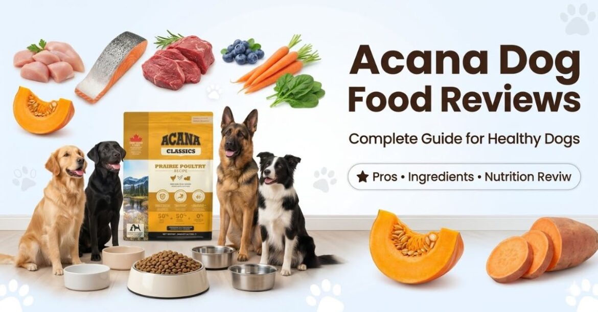 acana dog food reviews complete guide for healthy dogs
